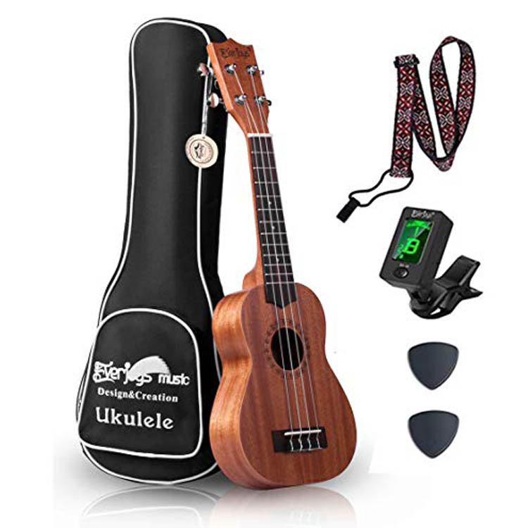 Ukulele in mogano soprano - 21 pollici professionale con custodia sintonizzatore Aquila stringhe EVUKP